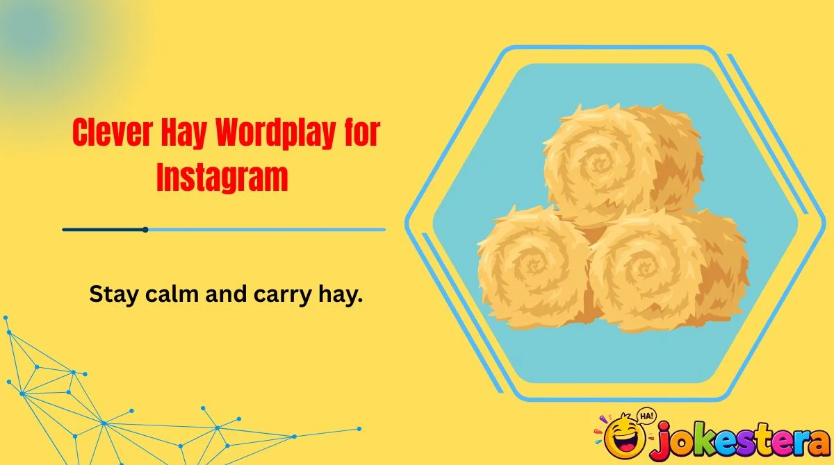 clever-hay-wordplay-for-instagram Clever Hay Wordplay for Instagram