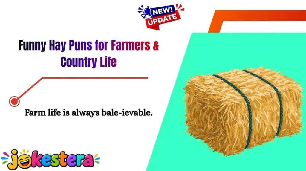 Funny Hay Puns for Farmers & Country Life