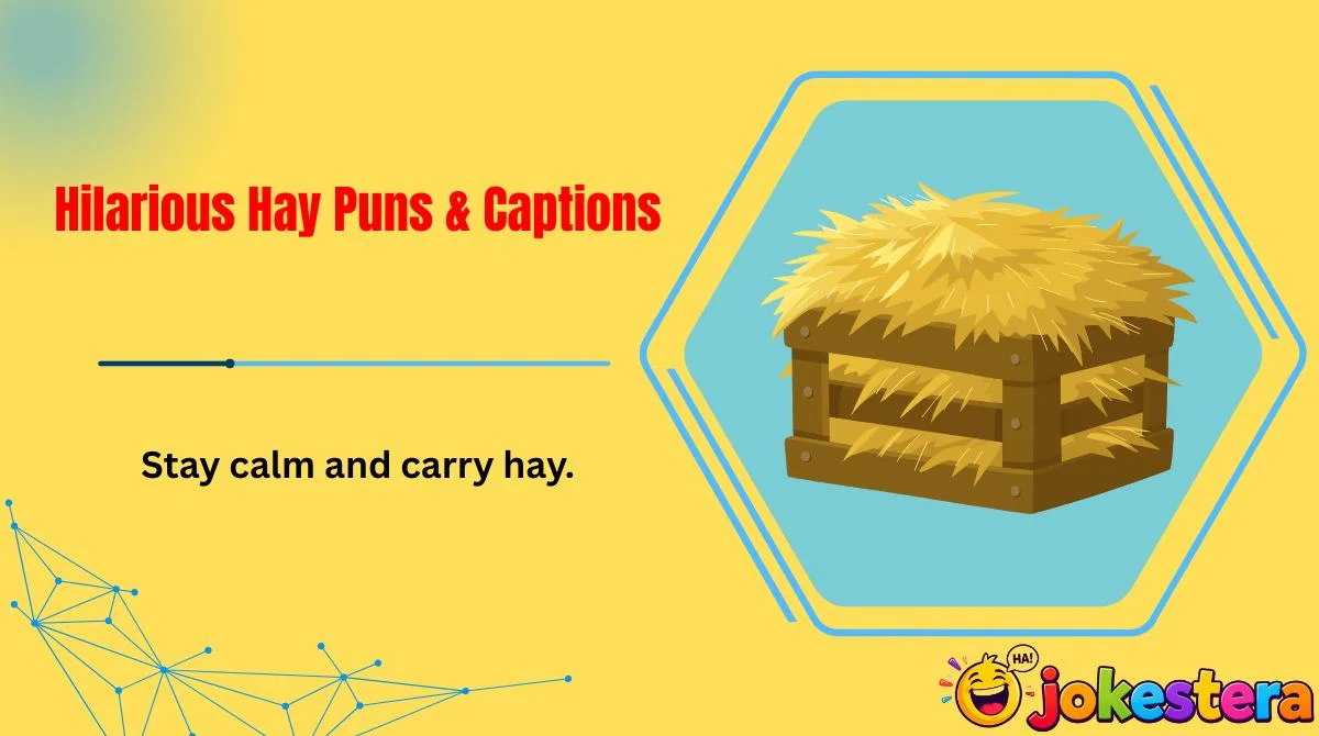 hilarious-hay-puns-and-captions Hilarious Hay Puns & Captions