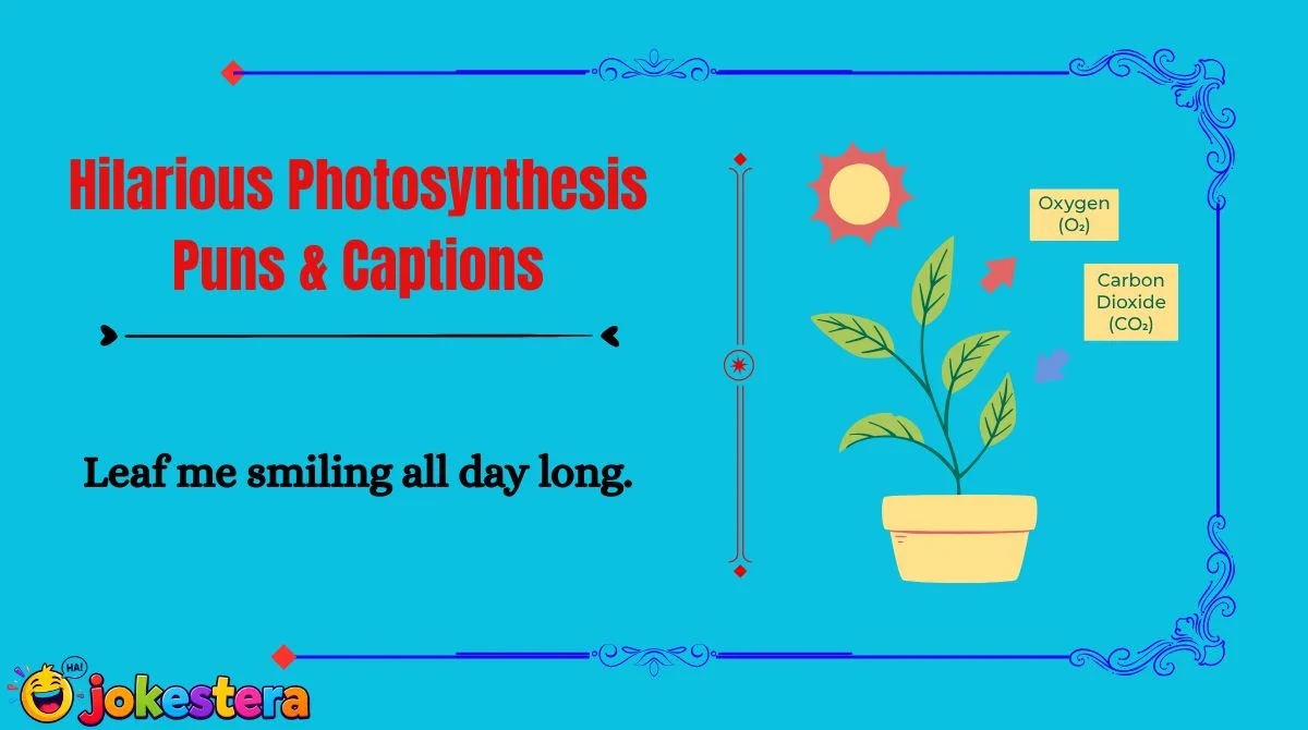 Hilarious Photosynthesis Puns & Captions
