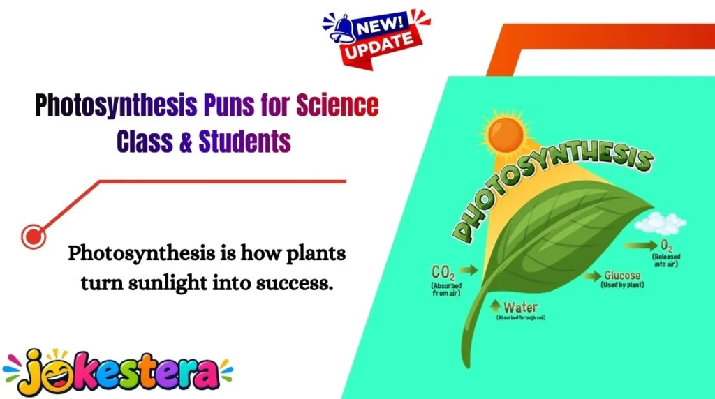 Photosynthesis Puns for Science Class & Students 