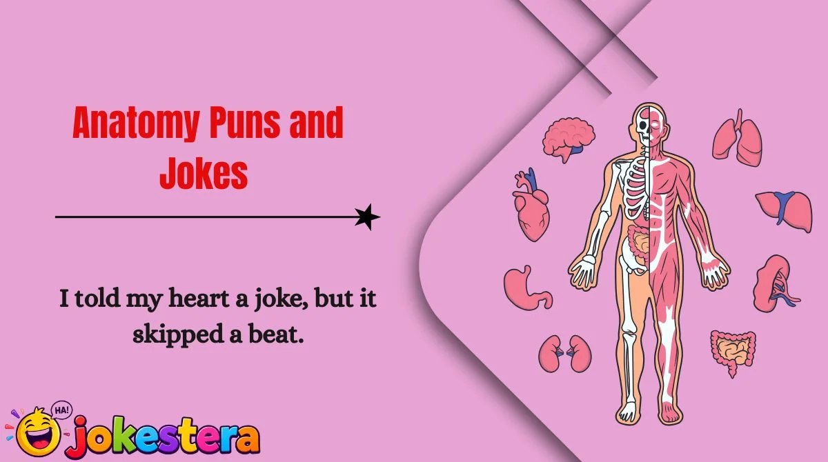 Anatomy Puns and Jokes